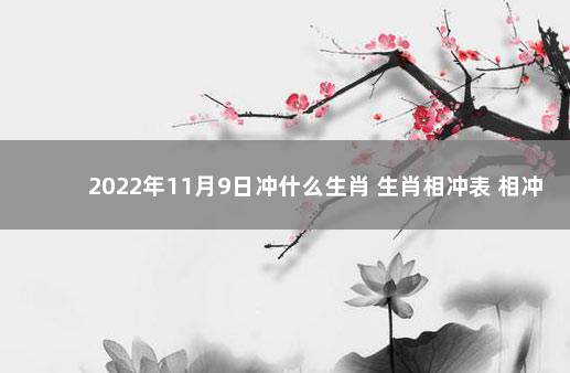 2022年11月9日冲什么生肖 生肖相冲表 相冲相克是什么生肖