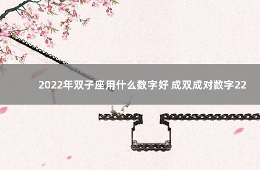 2022年双子座用什么数字好 成双成对数字22