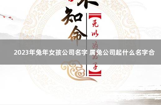 2023年兔年女孩公司名字 属兔公司起什么名字合适