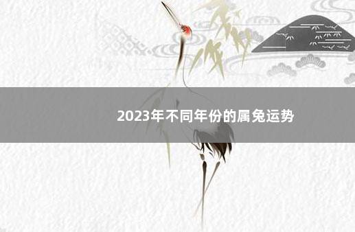 2023年不同年份的属兔运势