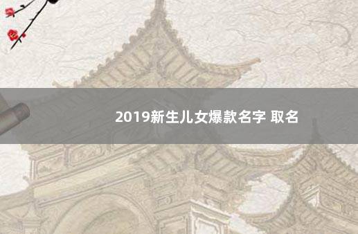 2019新生儿女爆款名字 取名