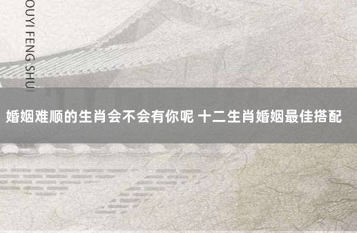 婚姻难顺的生肖会不会有你呢 十二生肖婚姻最佳搭配