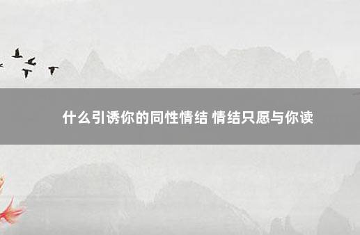 什么引诱你的同性情结 情结只愿与你读