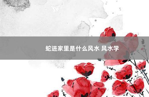 蛇进家里是什么风水 风水学