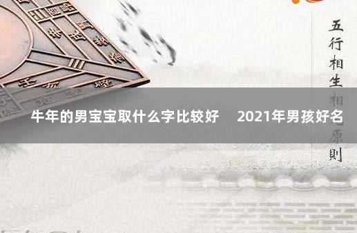 牛年的男宝宝取什么字比较好 　2021年男孩好名字推荐