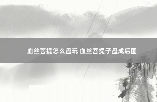 血丝菩提怎么盘玩 血丝菩提子盘成后图