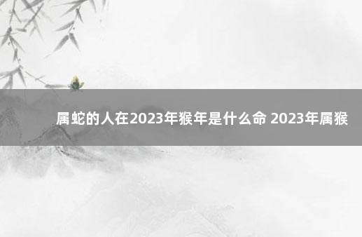 属蛇的人在2023年猴年是什么命 2023年属猴是什么命