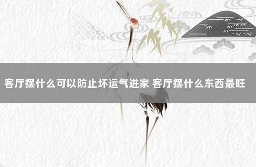 客厅摆什么可以防止坏运气进家 客厅摆什么东西最旺财