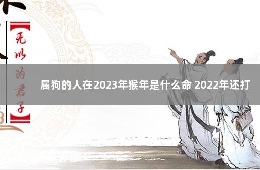 属狗的人在2023年猴年是什么命 2022年还打不打疫苗