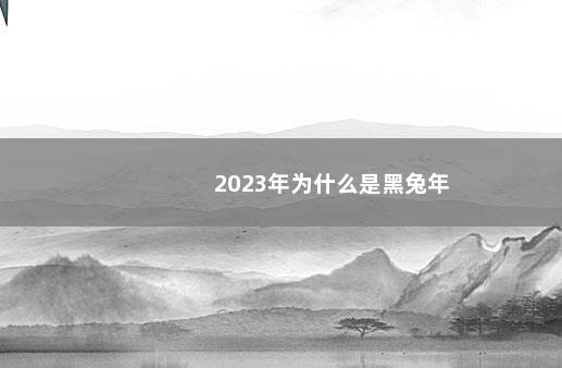 2023年为什么是黑兔年