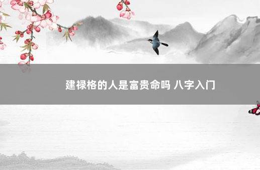 建禄格的人是富贵命吗 八字入门