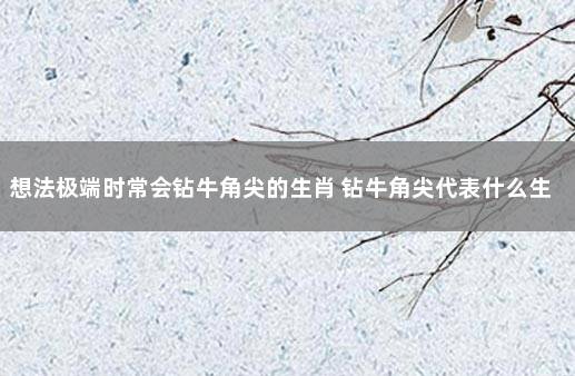 想法极端时常会钻牛角尖的生肖 钻牛角尖代表什么生肖
