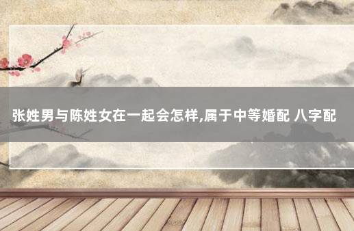 张姓男与陈姓女在一起会怎样,属于中等婚配 八字配对