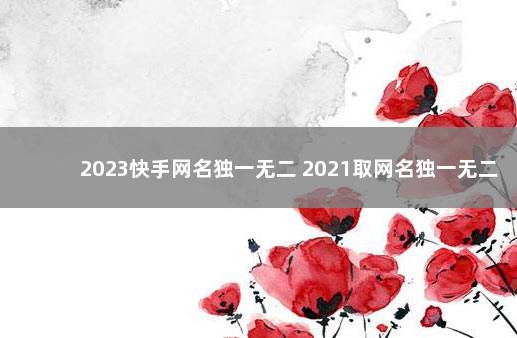 2023快手网名独一无二 2021取网名独一无二的