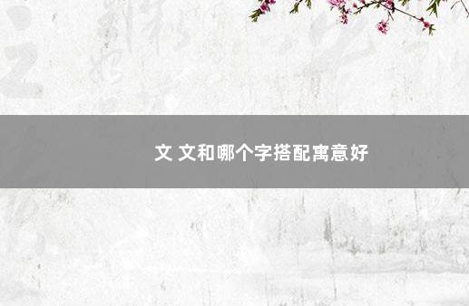 文 文和哪个字搭配寓意好