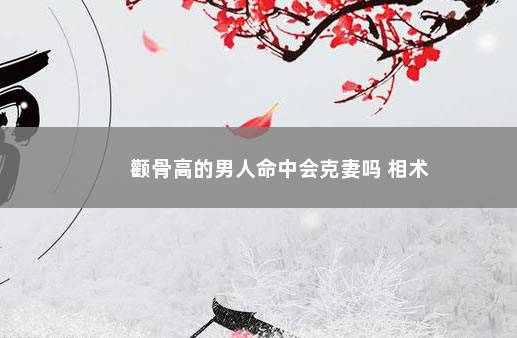 颧骨高的男人命中会克妻吗 相术