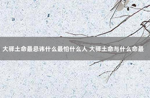 大驿土命最忌讳什么最怕什么人 大驿土命与什么命最佳配偶