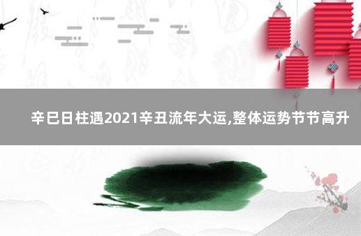 辛巳日柱遇2021辛丑流年大运,整体运势节节高升 八字入门