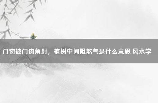 门窗被门窗角射，植树中间阻煞气是什么意思 风水学