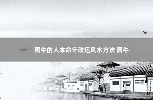 属牛的人本命年改运风水方法 属牛