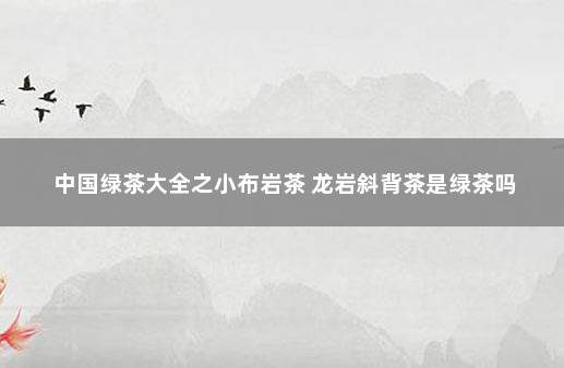 中国绿茶大全之小布岩茶 龙岩斜背茶是绿茶吗