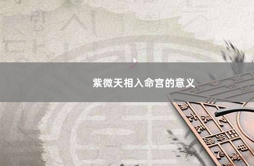 紫微天相入命宫的意义
