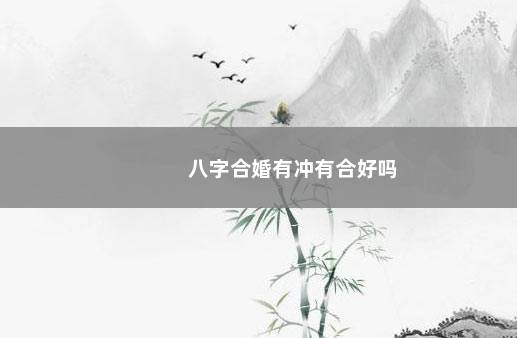 八字合婚有冲有合好吗