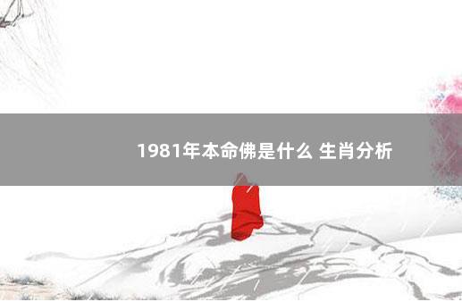 1981年本命佛是什么 生肖分析