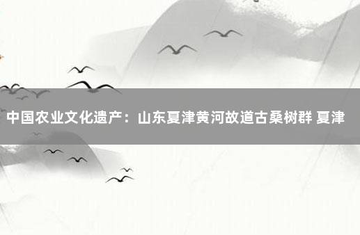 中国农业文化遗产：山东夏津黄河故道古桑树群 夏津黄河故道介绍