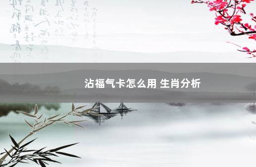 沾福气卡怎么用 生肖分析