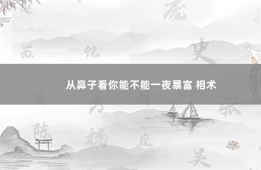 从鼻子看你能不能一夜暴富 相术