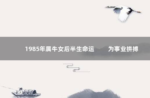 1985年属牛女后半生命运 　　为事业拼搏