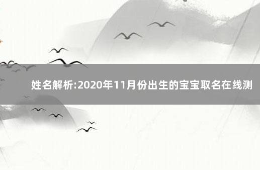 姓名解析:2020年11月份出生的宝宝取名在线测试打分 取名