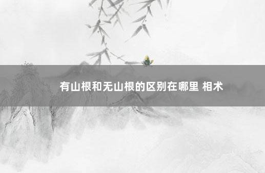 有山根和无山根的区别在哪里 相术