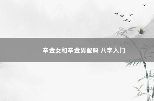 辛金女和辛金男配吗 八字入门