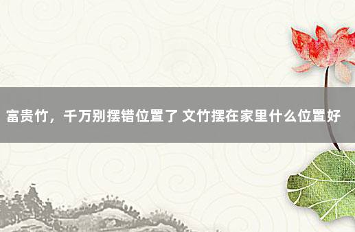 富贵竹，千万别摆错位置了 文竹摆在家里什么位置好