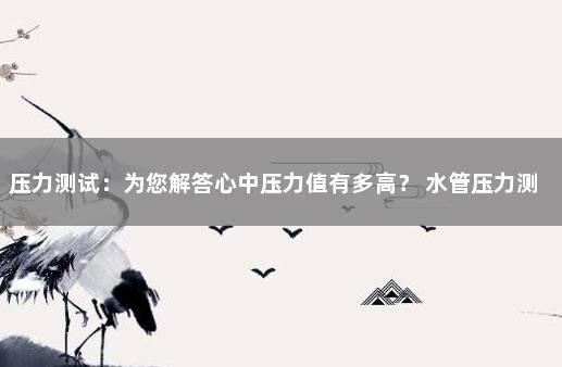 压力测试：为您解答心中压力值有多高？ 水管压力测试