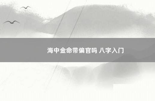 海中金命带偏官吗 八字入门