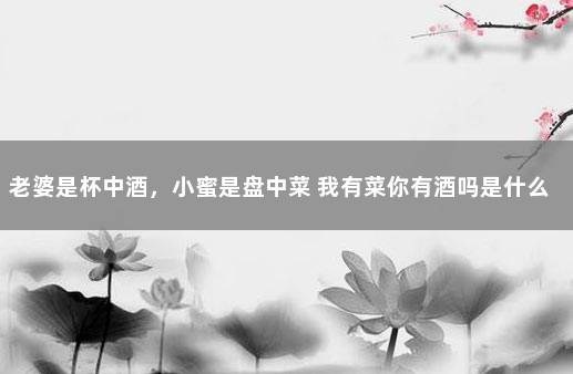 老婆是杯中酒，小蜜是盘中菜 我有菜你有酒吗是什么意思