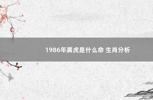 1986年属虎是什么命 生肖分析