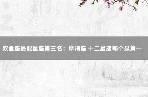 双鱼座最配星座第三名：摩羯座 十二星座哪个是第一名