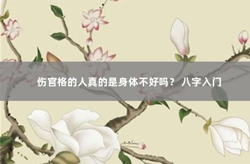 伤官格的人真的是身体不好吗？ 八字入门