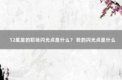 12星座的职场闪光点是什么？ 我的闪光点是什么