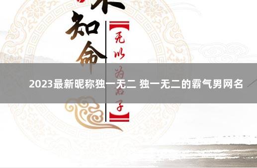 2023最新昵称独一无二 独一无二的霸气男网名