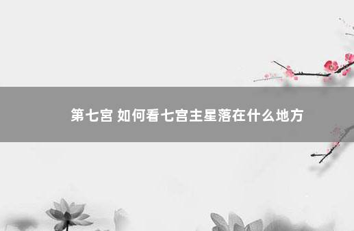 第七宮 如何看七宫主星落在什么地方