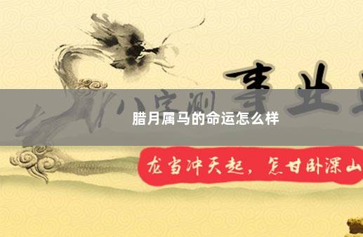 腊月属马的命运怎么样