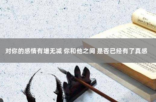 对你的感情有增无减 你和他之间 是否已经有了真感情