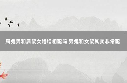 属兔男和属鼠女婚姻相配吗 男兔和女鼠其实非常配
