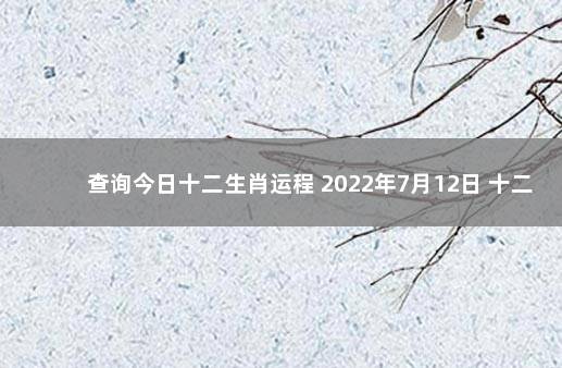 查询今日十二生肖运程 2022年7月12日 十二生肖运程今日