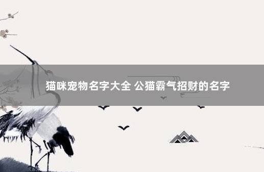 猫咪宠物名字大全 公猫霸气招财的名字
